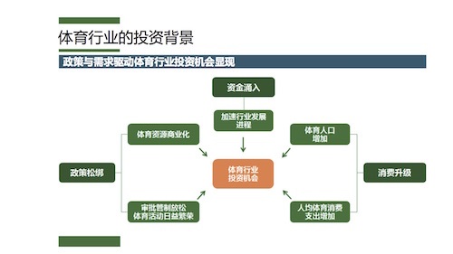  电竞青训体系完善，年轻选手成长路径愈发清晰